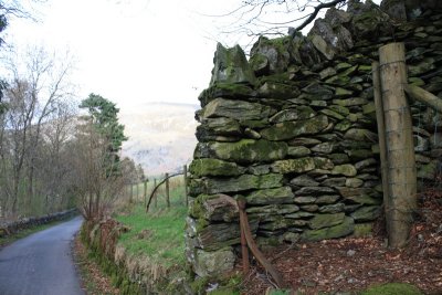 IMG_0218.jpg