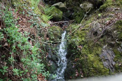 IMG_0233.jpg