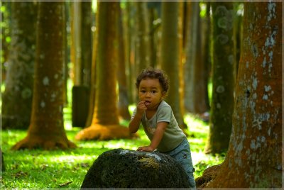 Titi Anse des Cascades rt.jpg