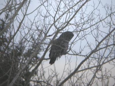 Koochiching County Minnesota