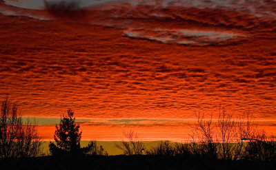 Sunset of the orange variety_MG_6368.jpg