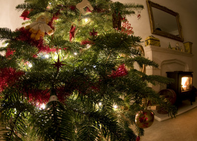 christmas_2009
