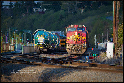 g3/16/639416/3/123443227.dTWzecuO.jpg
