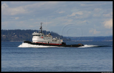 g3/16/639416/3/58057882.kgK2zcdj.jpg