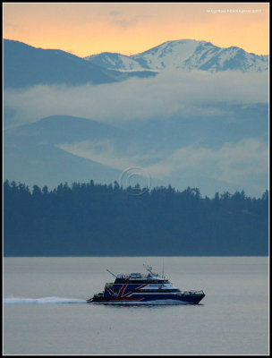 Victoria Clipper After Sunset