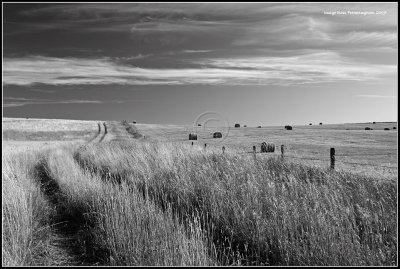 Road & Field