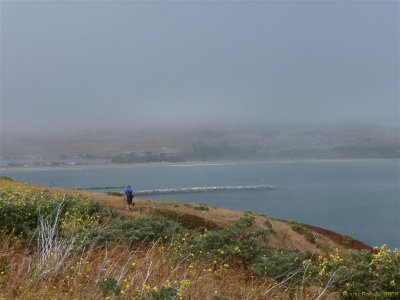 Bodega Bay 020.jpg