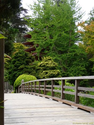 Japanese Tea Garden 010.jpg