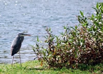 g3/16/657516/3/58723353.DSC_2556.jpg