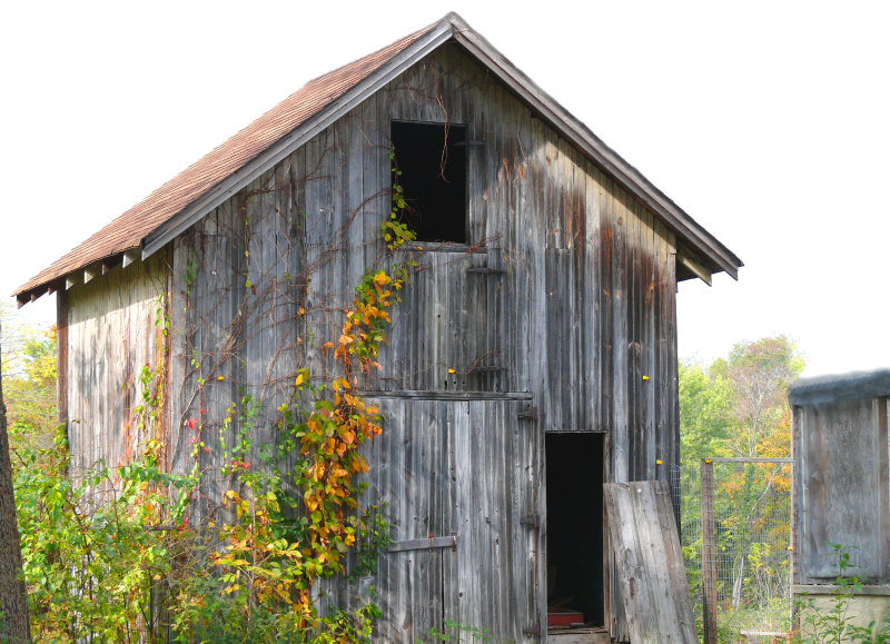 barn