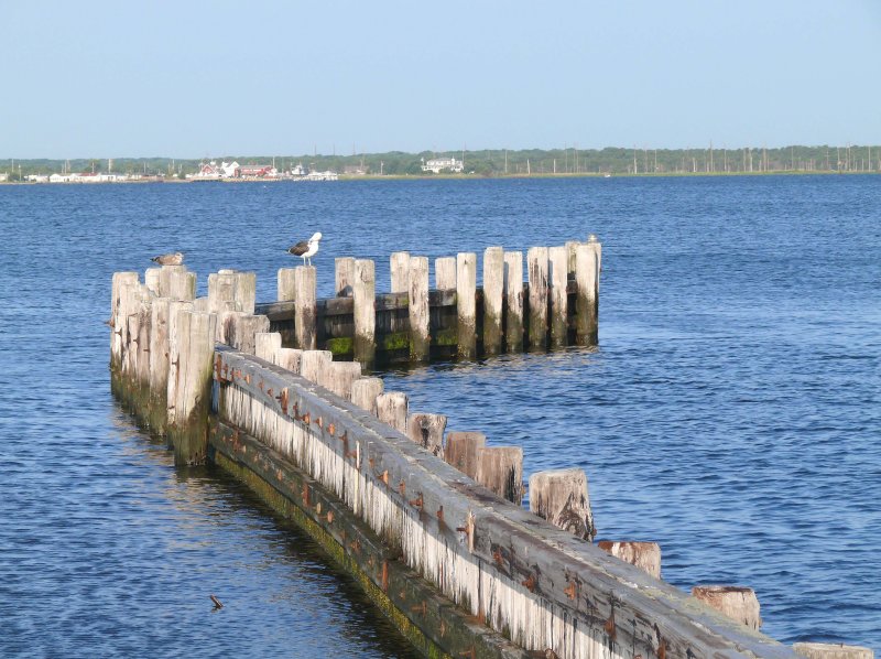 ocean fence