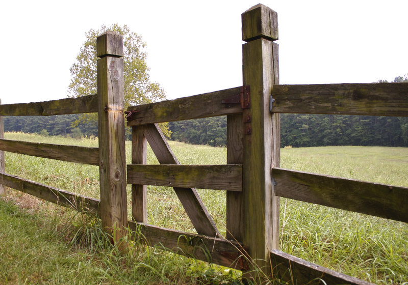 fence n gate