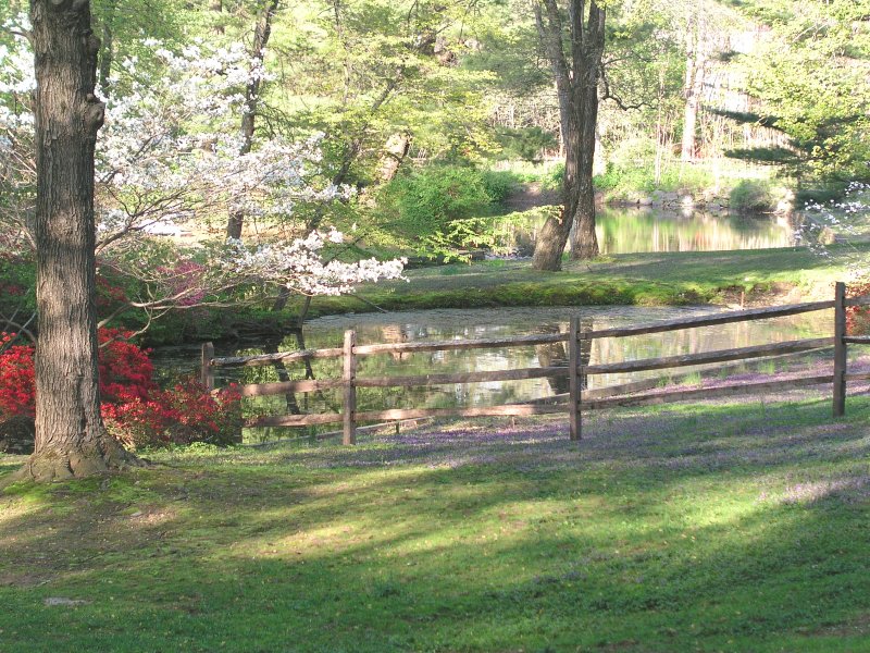 springtime fence