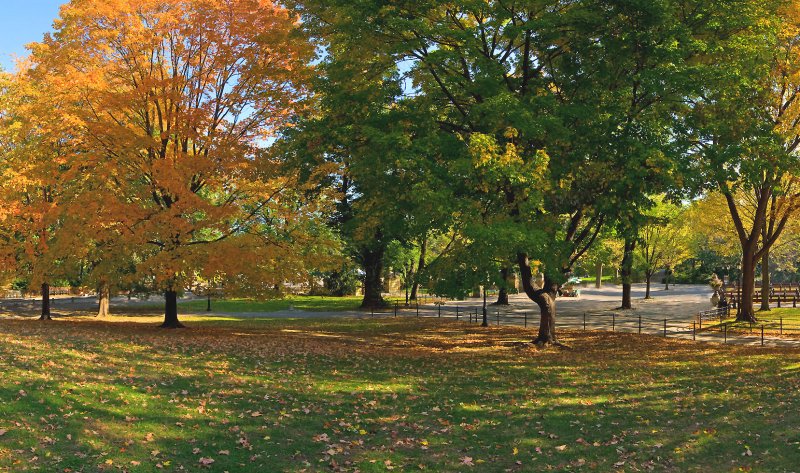 Autumn in NYC