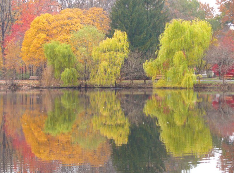 mirror image