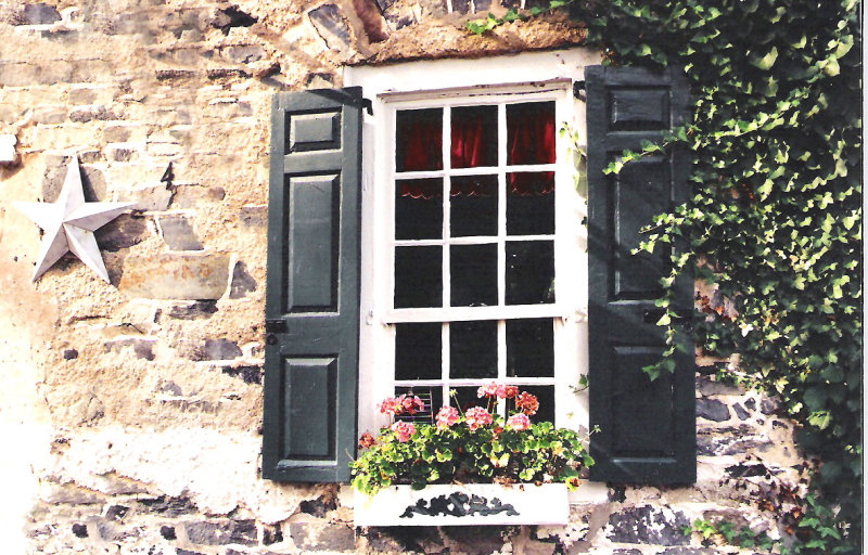 new hope window