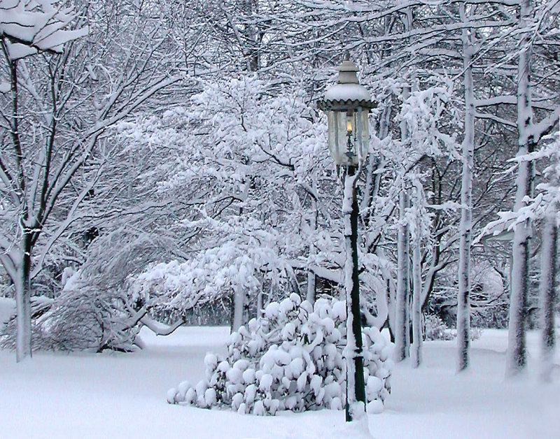  a winter wonderland
