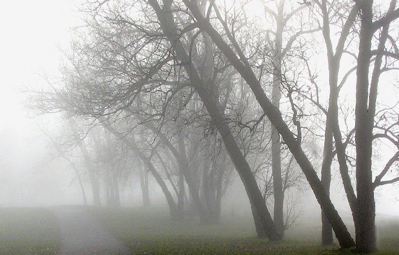Thursday morning fog