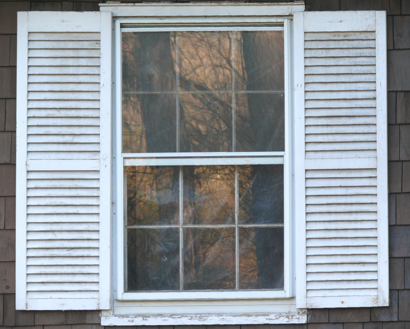 white shutters