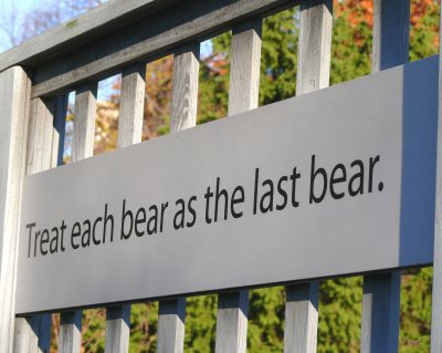 Treat each bear......