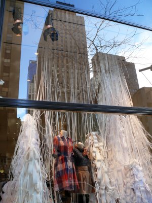 Anthropologie with reflections
