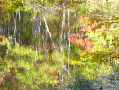 impressionistic reflection