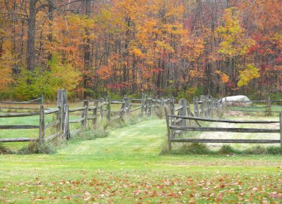 fences