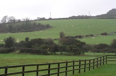 Ireland fence