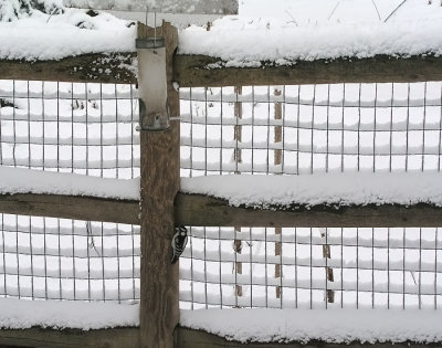 snowy fence at tnc