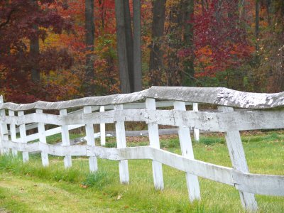 fence in autumn