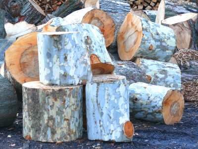 logpile