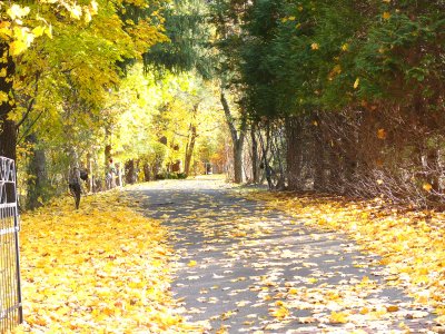 little side road