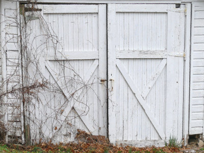 doors