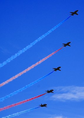 Red Arrows Caterpillar