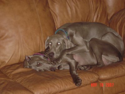  Boo & Rudy - November 2007