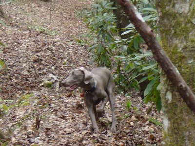 Boo - March 2007