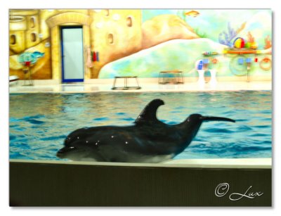 Dubai Dolphinarium