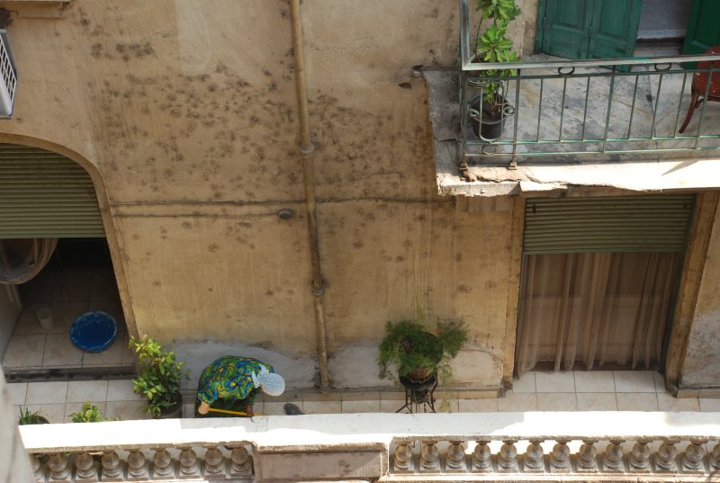 DSC_0284.JPG