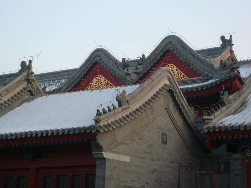 P1030142.JPG
