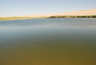 DSC_0197.JPG
