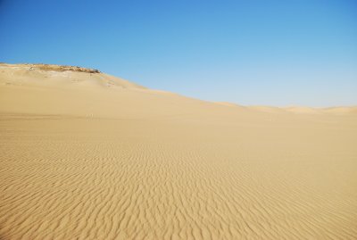 DSC_0213.JPG