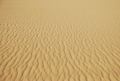 DSC_0214.JPG