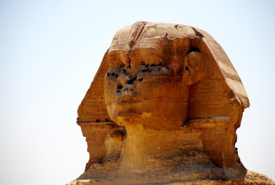 DSC_0431.JPG