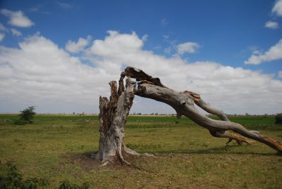 DSC_0720.JPG