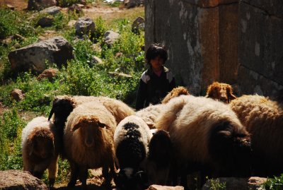 DSC_0147.JPG