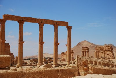 DSC_0320.JPG