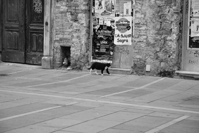 g3/16/753416/3/102060453.BnlzNtYN.jpg