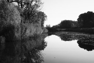 Lobau