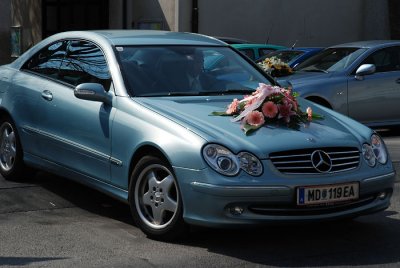 g3/16/753416/3/95274472.yiDt6pID.jpg