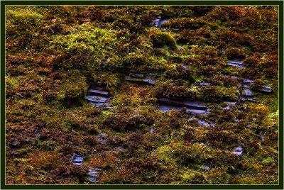 105-Abstract-in-a-Mountainside-7.jpg